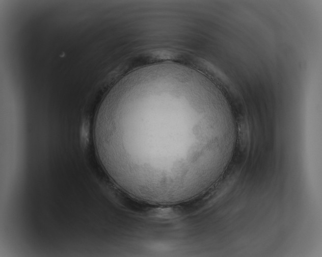 X0000100480406200806271206