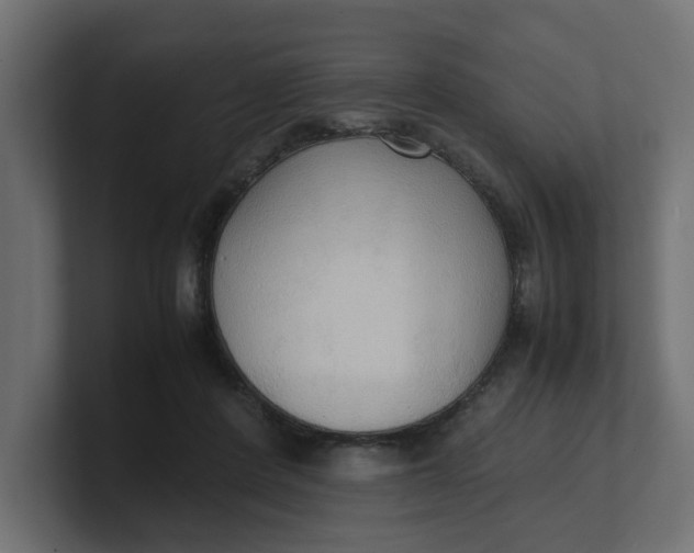 X0000100480408200806271206