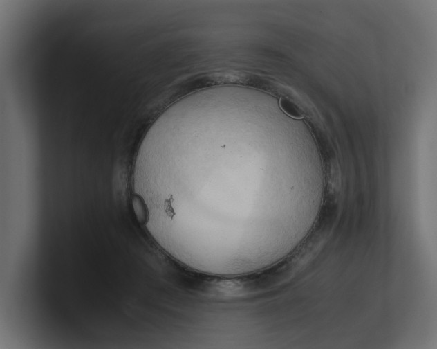 X0000100480409200806271206
