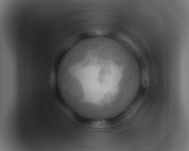 X0000100480410200806271206