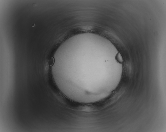 X0000100480412200806271206