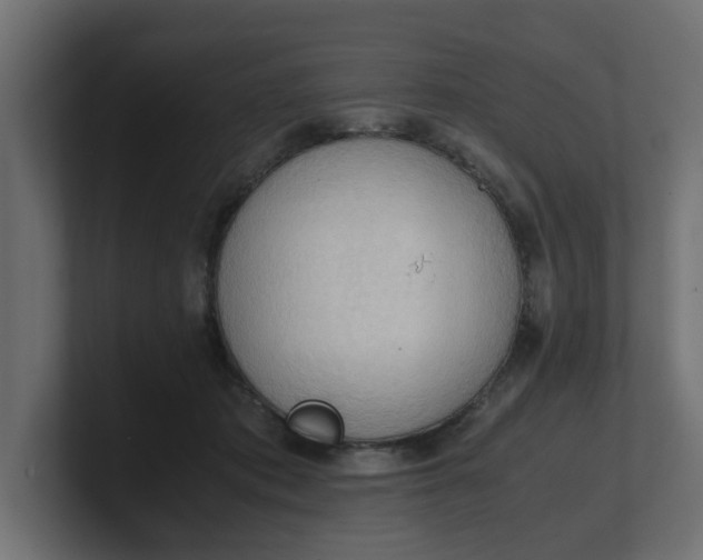 X0000100480413200806271206