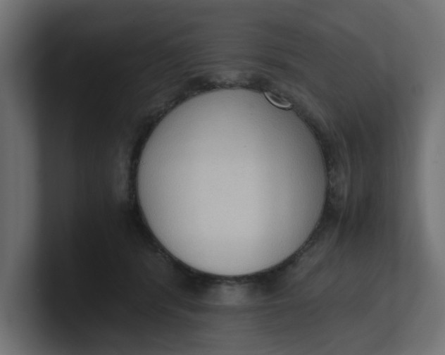 X0000100480416200806271206