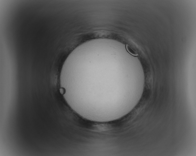X0000100480417200806271206