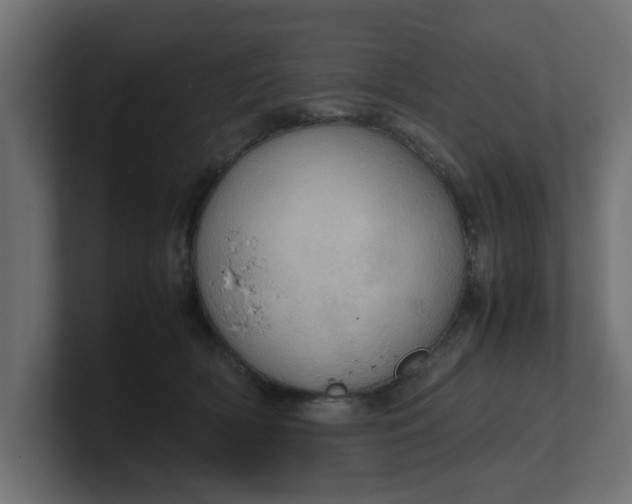 X0000100480418200806271206