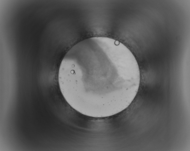 X0000100480419200806271206