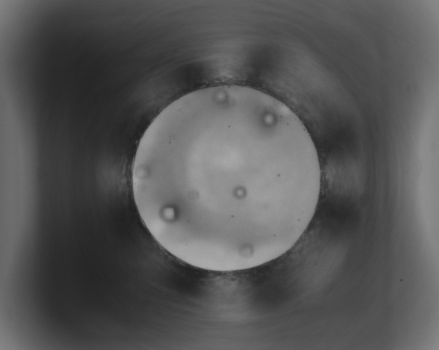 X0000100480423200806271206