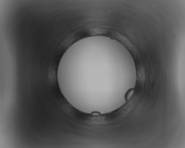X0000100480426200806271206