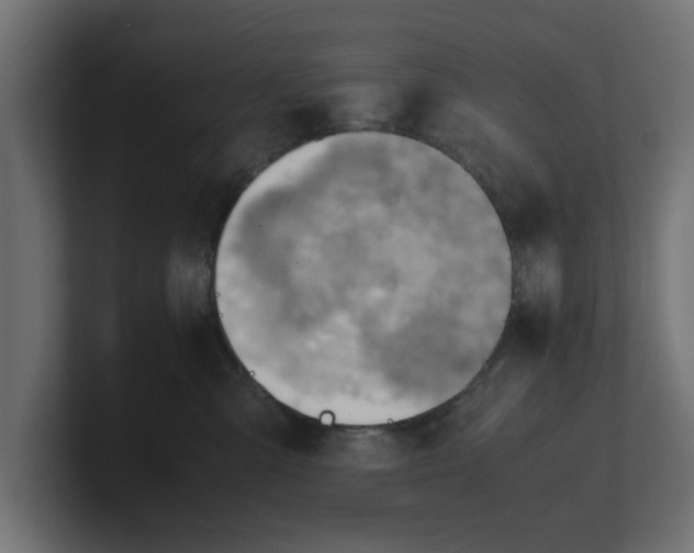 X0000100480427200806271206