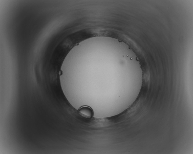 X0000100480429200806271206
