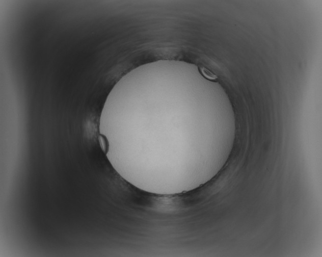 X0000100480432200806271206