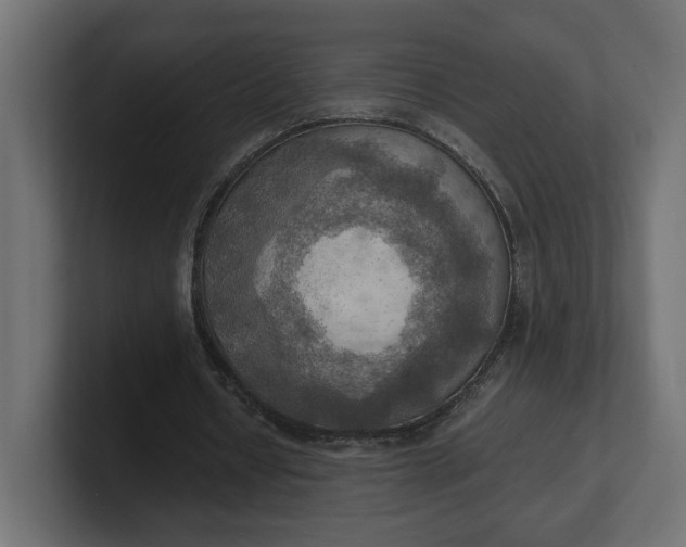 X0000100480434200806271205