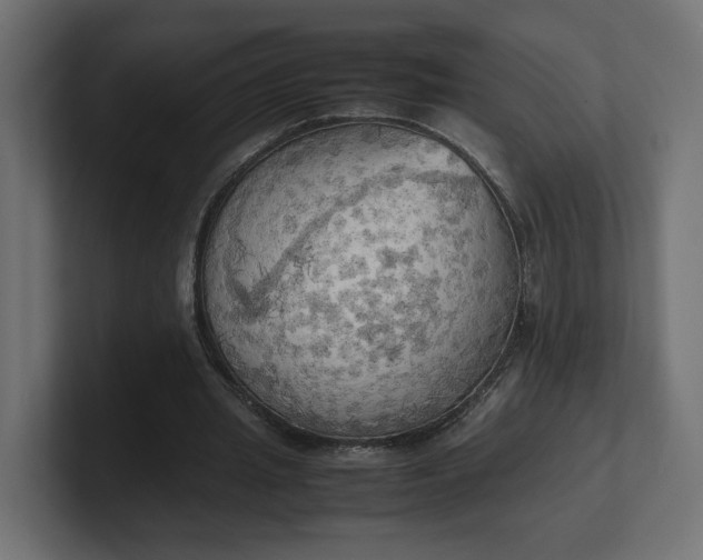 X0000100480437200806271205