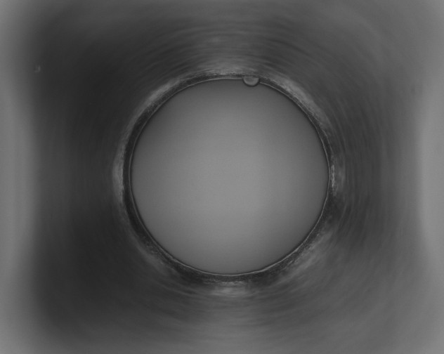 X0000100480438200806271206