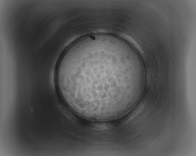 X0000100480439200806271206