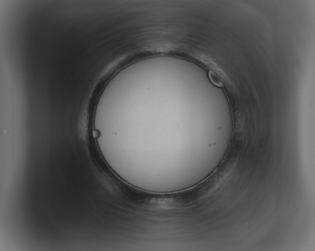 X0000100480440200806271206