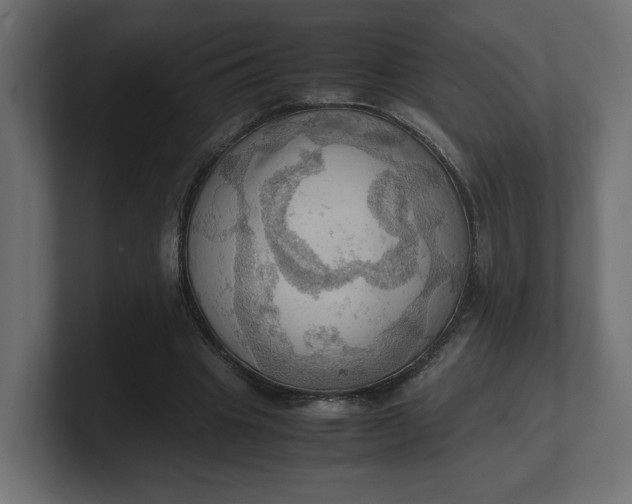 X0000100480441200806271206