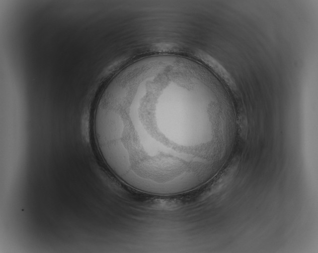 X0000100480442200806271206