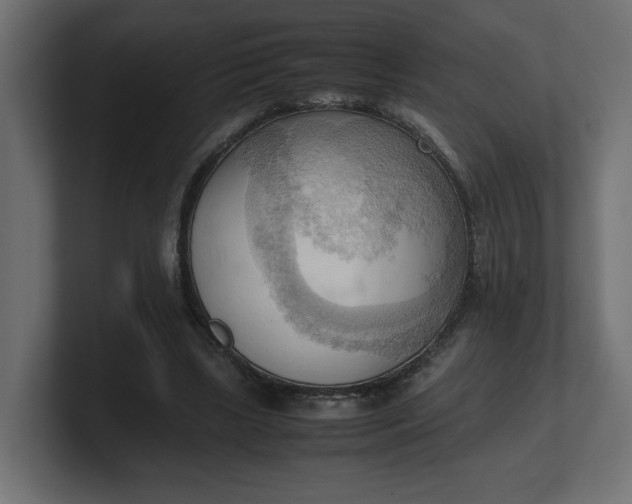 X0000100480443200806271206