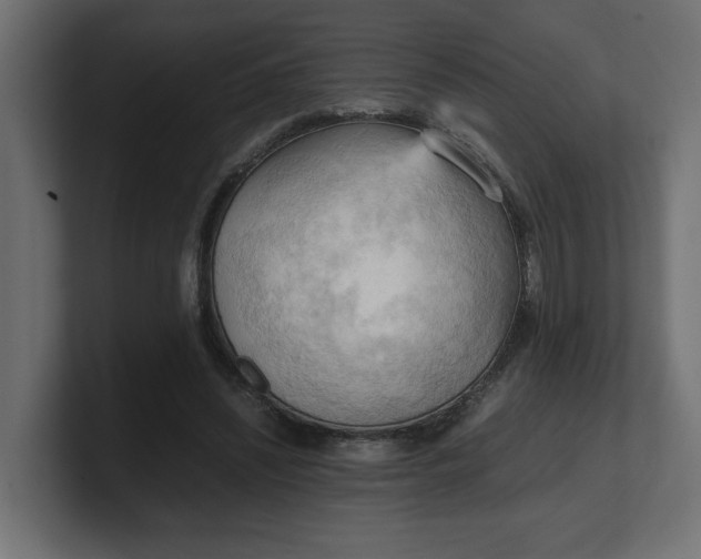 X0000100480444200806271206