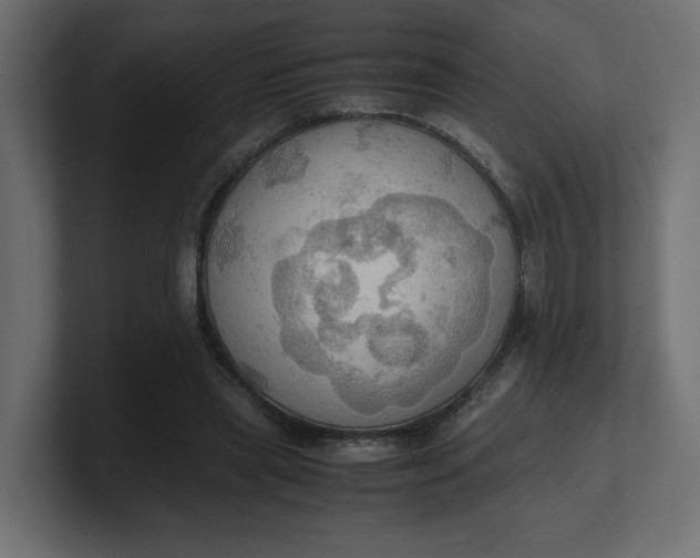 X0000100480445200806271206