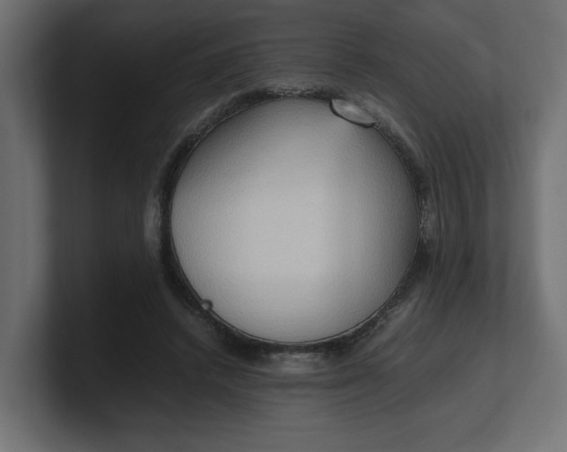X0000100480448200806271206