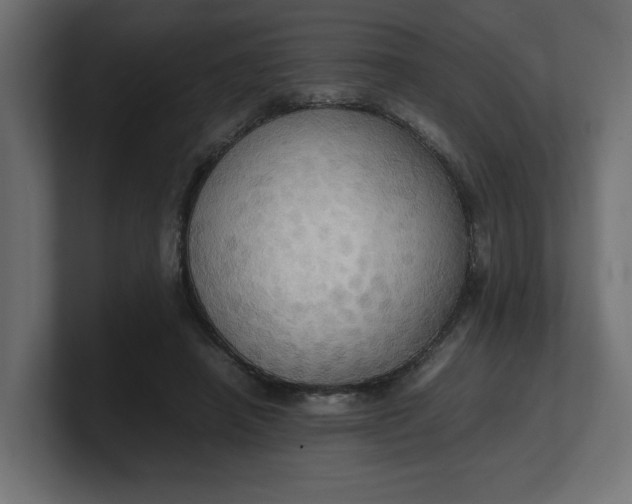X0000100480450200806271206