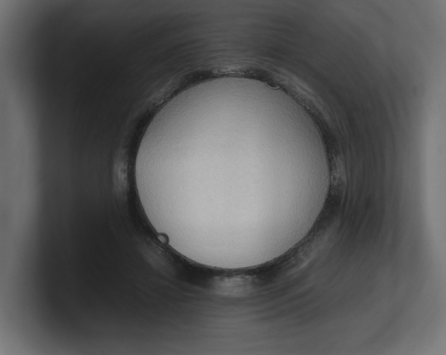 X0000100480452200806271206