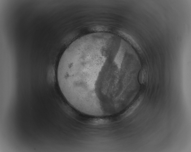 X0000100480453200806271206