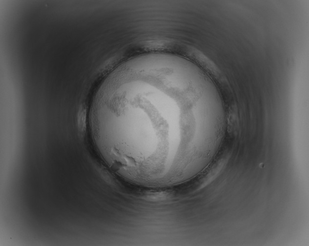 X0000100480454200806271206