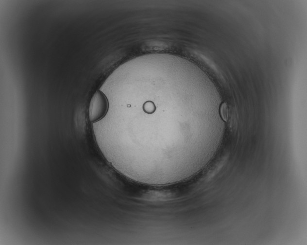 X0000100480455200806271206