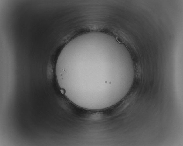 X0000100480456200806271206