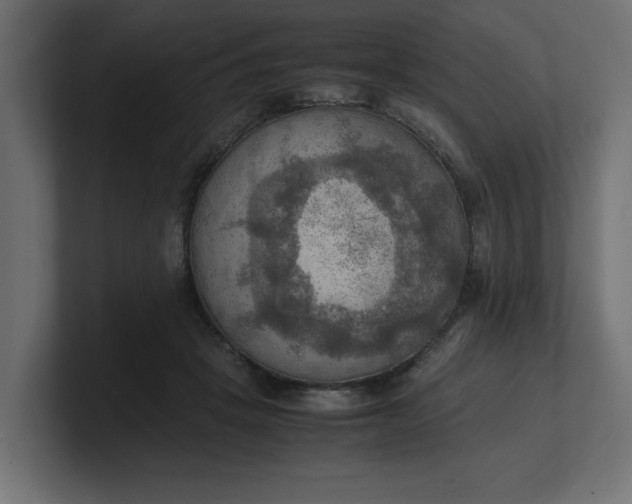 X0000100480457200806271206