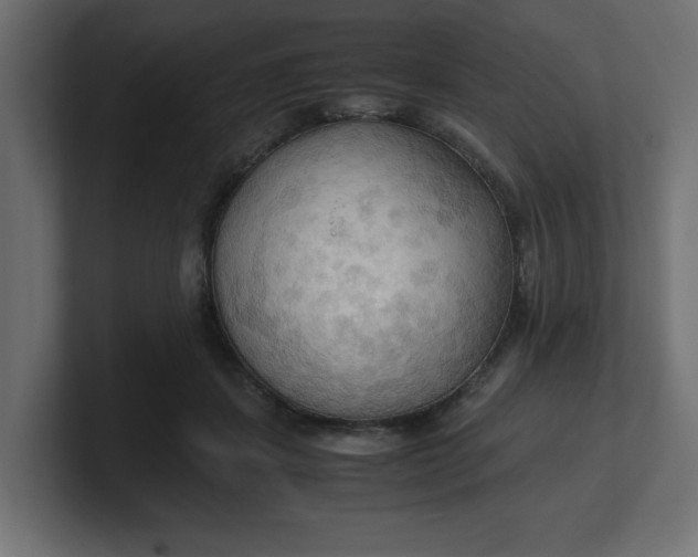 X0000100480459200806271206