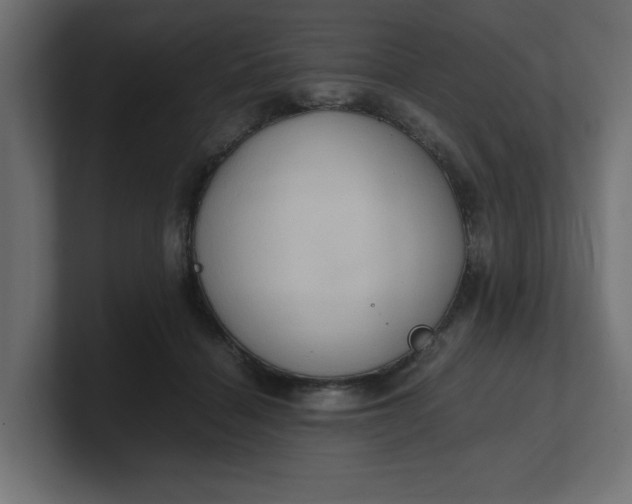 X0000100480460200806271206