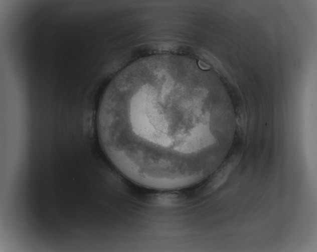 X0000100480462200806271206