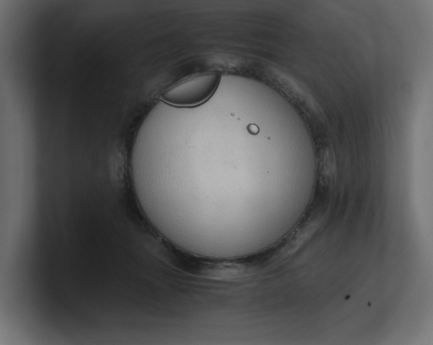 X0000100480463200806271206