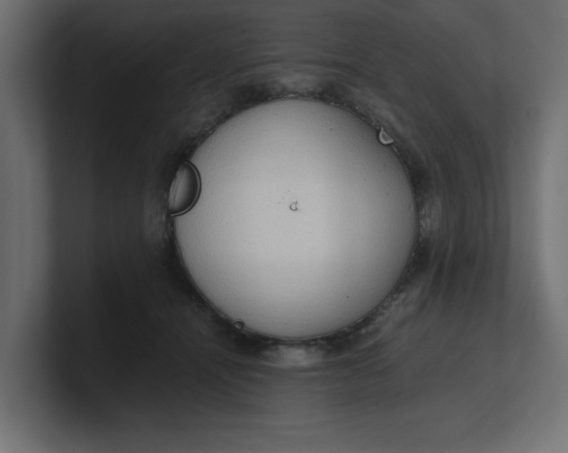 X0000100480464200806271206