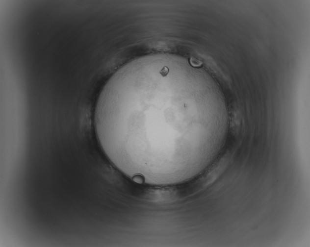 X0000100480466200806271206