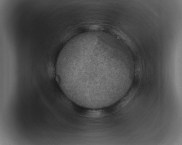 X0000100480469200806271206