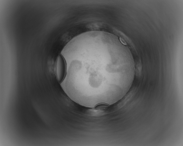 X0000100480477200806271206