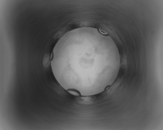 X0000100480478200806271206