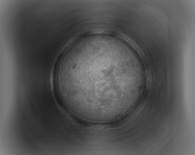 X0000100480482200806271205