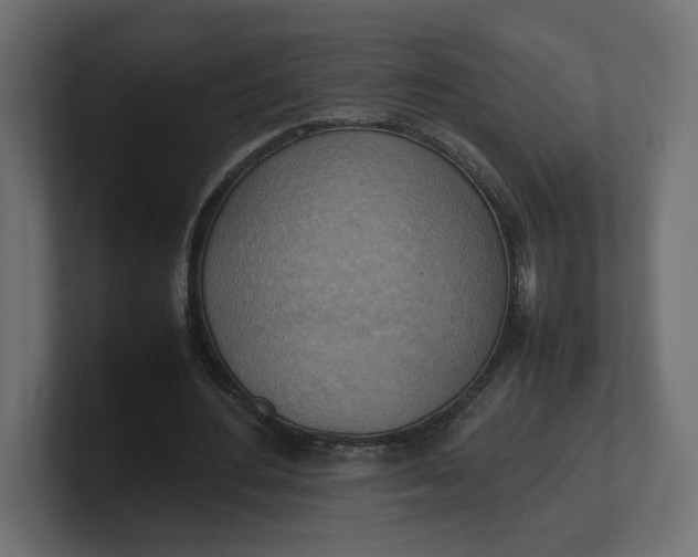X0000100480484200806271205