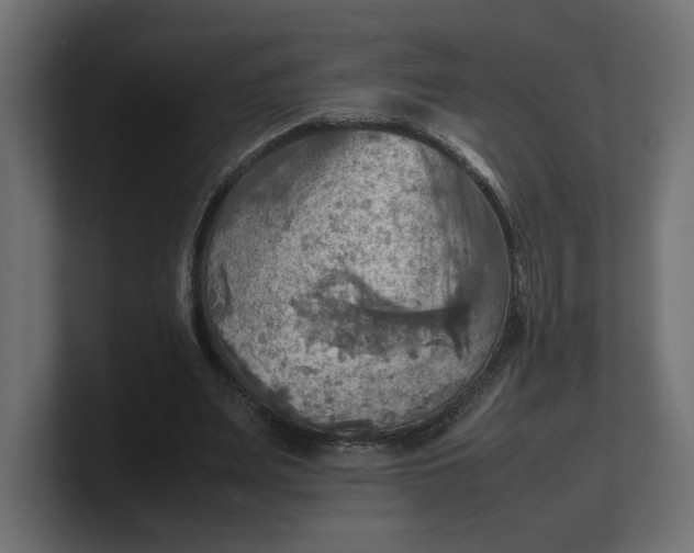 X0000100480487200806271205