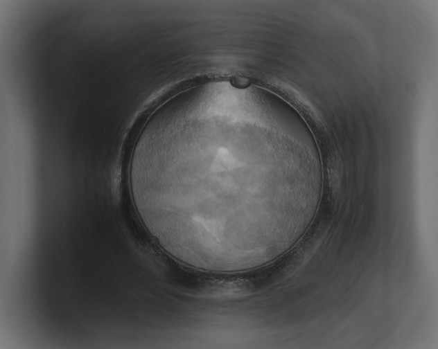 X0000100480488200806271205