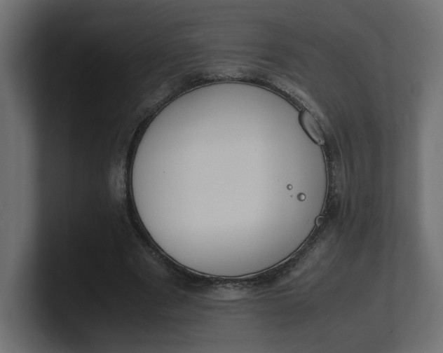 X0000100480489200806271205
