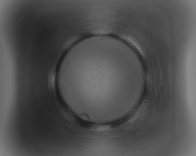 X0000100480491200806271205