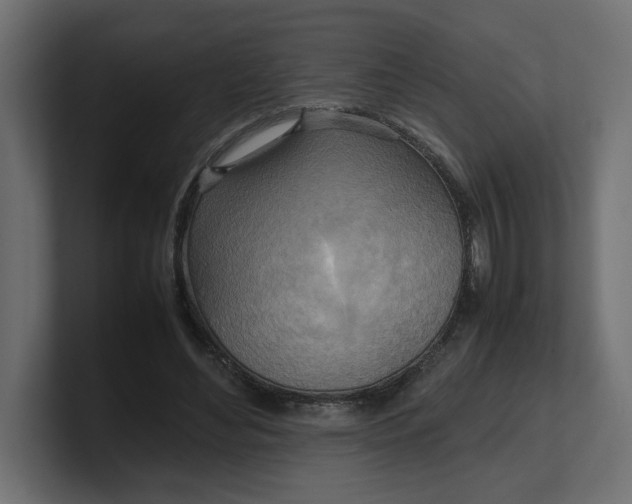 X0000100480492200806271205
