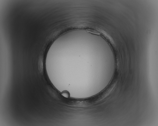 X0000100480493200806271205